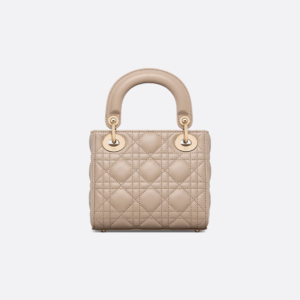 Mini Lady Dior Bag